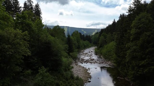 Aerial view of a mountain river with a rocky bed flowing through spruce forest in Krkono&scaron;e Czech Republic