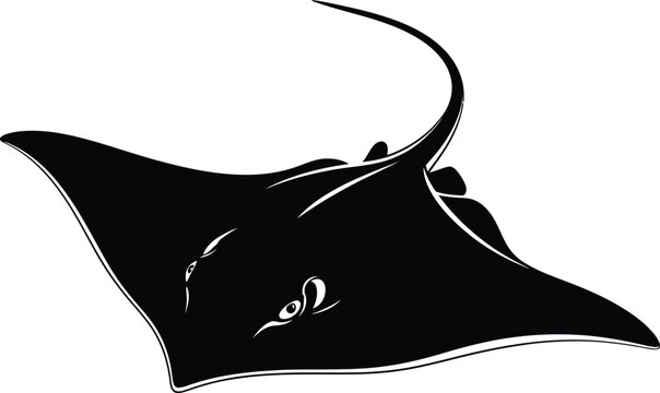 Black silhouette of a stingray with a long tail, viewed from above white animal