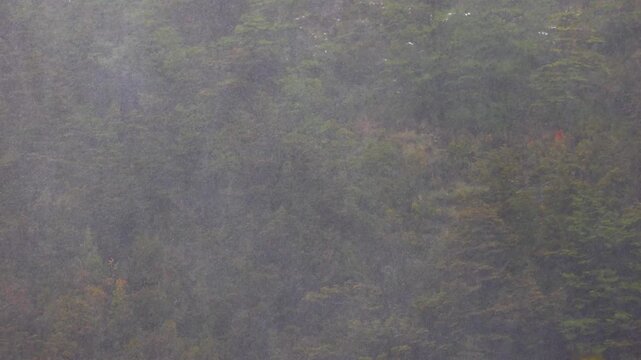Curtains of rain shroud ancient lenga beech forest in Ushuaia, Tierra del Fuego, Patagonian wilderness, climate and atmospheric mood.