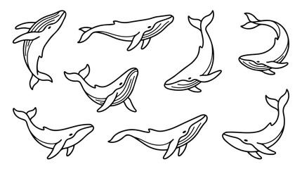 Minimalist whale line art collection, set of 8 hand drawn humpback whale vector icons, simple black and white sea animal illustrations for marine branding © Sidra