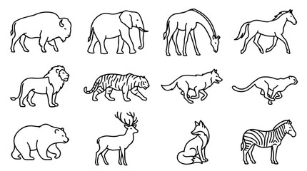 Minimalist wild animal line icons, set of 12 black outline wildlife vector illustrations, safari and forest fauna collection for educational design © Sidra