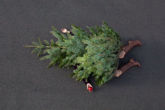 Woman lying buried under Christmas tree