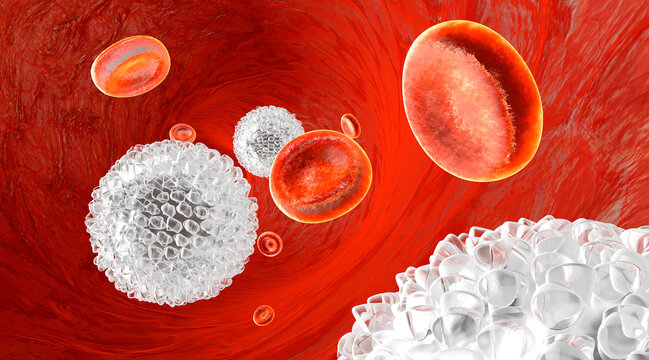 Erythrocytes and leukocytes flowing in a blood vessel
