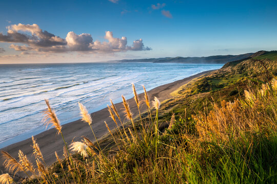 New Zealand, North Island, Raglan, Ngarunui Beach in the evening