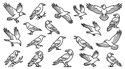 Black Crow and Raven Vector Illustrations, Set of 18 Bird Line Art Icons, Flying and Perching Corvid Silhouettes for Nature Branding and Logo Design © Sidra