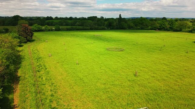 Aerial drone footage over a green pasture field in rural England, showing young trees protected by guards and circular fenced planting areas across the grassland.