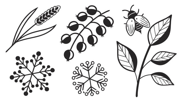 Vector illustration of nature sketches including leaves berries bee and snowflakes in black and white