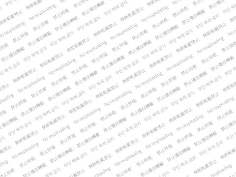「無断転載」を日本語、英語、繁体字、簡体字、韓国語で表示しているウォーターマーク
