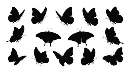 Collection of black butterfly silhouettes in various flight poses against a white background silhouette butterflies lepidoptera insect insects flying monochrome © SIMPLYXRIAD
