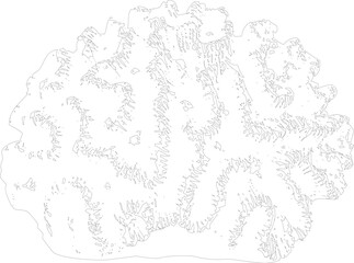 A detailed line drawing of a large boulder with intricate patterns and textures shown © Lokman