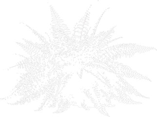 Obraz premium Detailed illustration of a cannabis leaf with intricate lines and patterns on transparent background