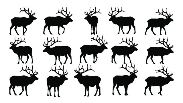 Collection of elk silhouettes in various poses a black and white graphic illustration silhouette deer stag bull wapiti cervidae antlers