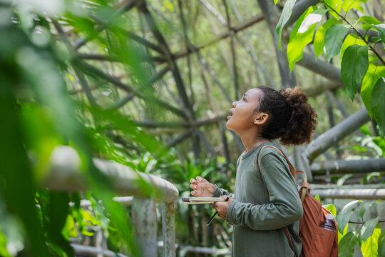 Young Eco Explorer Experiencing Wonder in a Tropical Biodiversity Dome