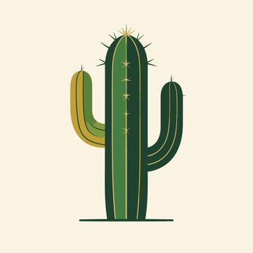 Green Cactus Plant Close Up.
