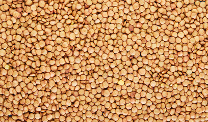 Fototapeta premium Close up lentil background, lentil seeds.