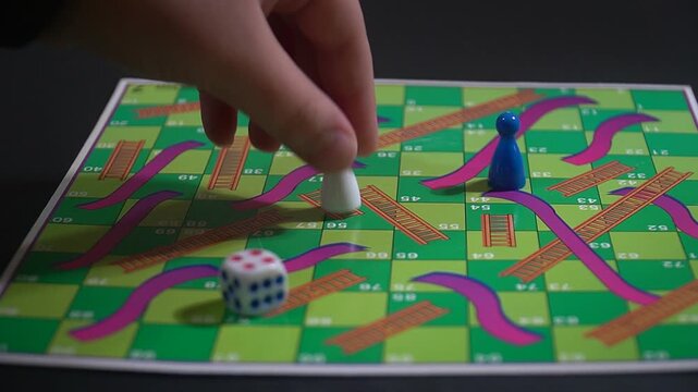 BOARD GAME SNAKES AND LADDERS