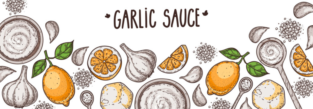 Garlic vector frame for sauce packaging design. Hand-drawn vintage food elements kit. Elegant garlic sauce packaging frame with hand drawn engraving illustration.