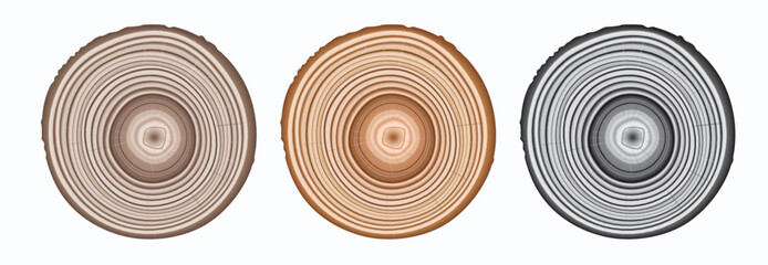 Tree trunk cut texture, wood slice annual rings vector pattern © ange1011