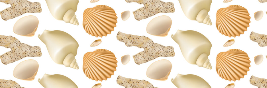 Realistic Seashell Seamless Pattern