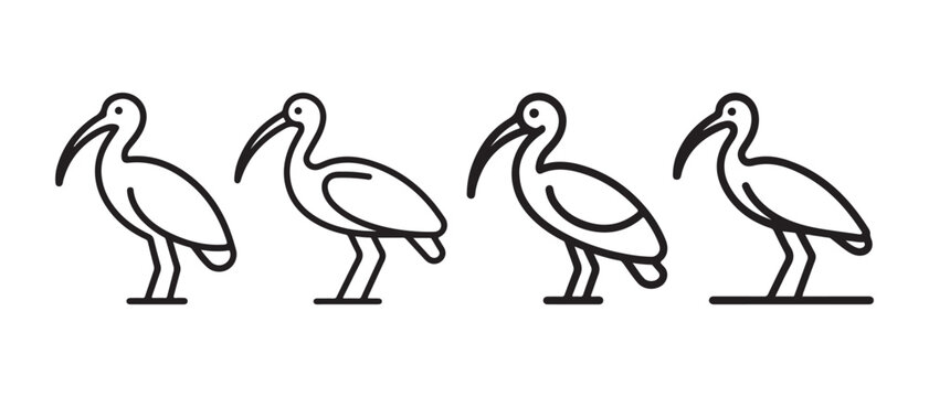 Set of minimalist ibis bird line art icons. isolated on a white background in a clean vector style.