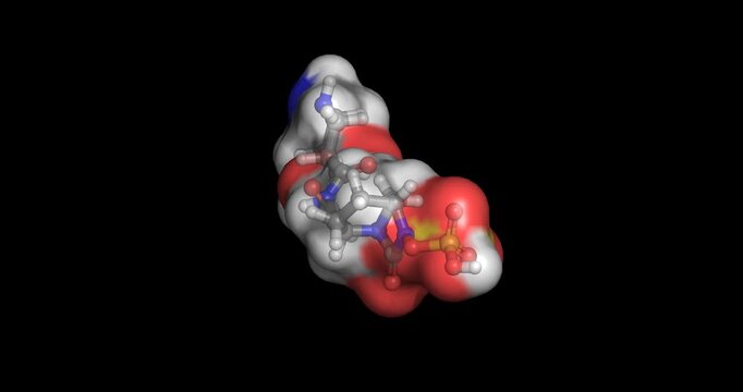 Zidebactam, beta-lactamase inhibitor drug molecule for multi-drug resistant bacterial infections, 3D molecule spinning, 4K