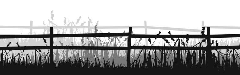Obraz premium Meadow silhouettes with grass and old wooden fence. Countryside, panoramic summer lawn rural landscape with herbs, weeds. Herbal border, frame element. Black horizontal banners. Vector illustration
