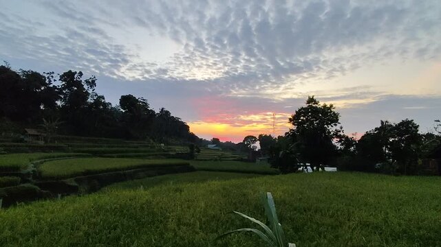 scenic view of terraced green rice fields during a beautiful sunset with dramatic clouds