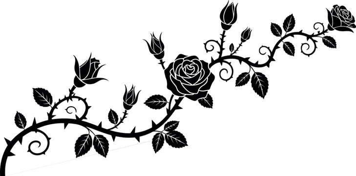 Black rose branch silhouette with thorns leaves and buds decorative floral vector illustration isolated on white background