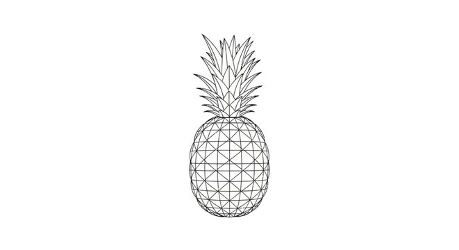 Geometric pineapple illustration, outline drawing, abstract fruit design on white background