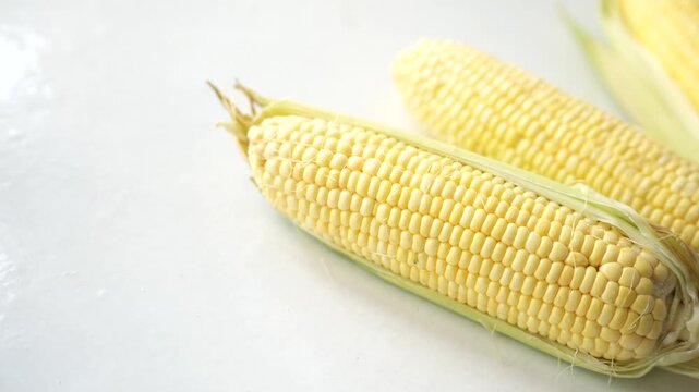 Fresh sweet corn on the cob with partially peeled husks resting on a white surface, highlighting its natural freshness and suitability for healthy cooking and consumption