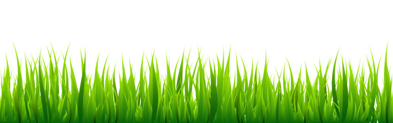 Obraz premium Meadow silhouette with green grass, plants on plain. Panoramic summer lawn landscape with herbs, various weeds. Herbal border, frame element. Black horizontal banners. Vector illustration