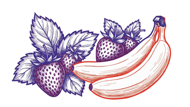 Mixed Berries and Melon Slice Hand Drawn Line Art Fruit Illustration