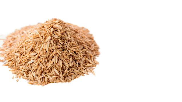 dried psyllium blond ispaghula husks heap isolated on transparent background cut out