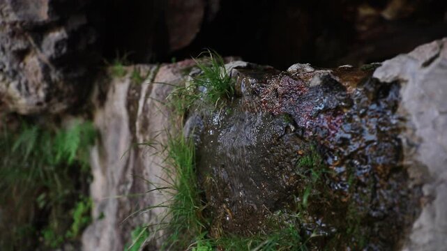 Canon de la Garita, Sierra Penjamo, Guanajuatoin Mexico, water flowing over a rock face with plants