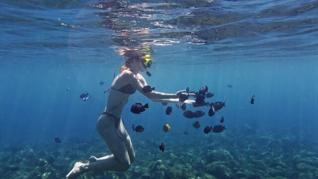 Snorkeler woman swimming underwater with fish