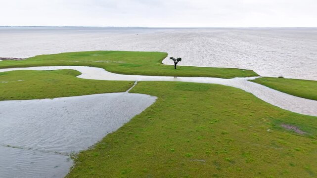 Aerial view of Tanguar Haor wetland with a lone tree on a green grassy patch surrounded by water channels under an overcast sky in Sunamganj District, Sylhet Division, Bangladesh.