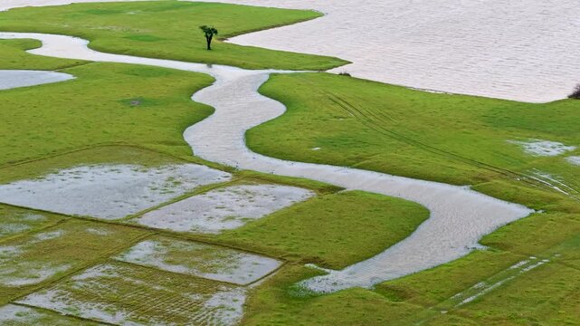Aerial view of Tanguar Haor wetland with winding water channels and flooded fields in Sunamganj District, Sylhet Division, Bangladesh.