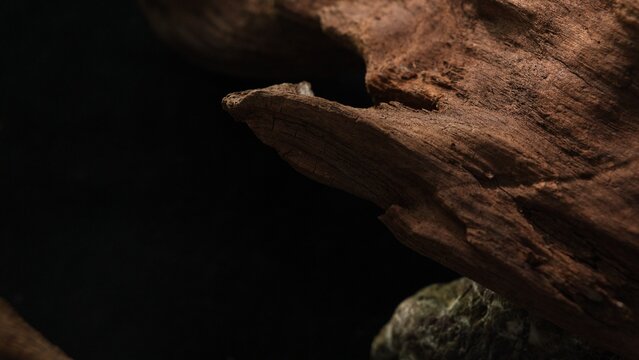 Weathered driftwood edge with dark negative space