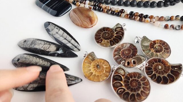 These elegant artisan pendants feature natural polished ammonite spirals and detailed orthoceras fossil stone for sophisticated jewelry crafting projects with a refined prehistoric aesthetic