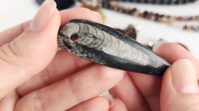 These elegant artisan pendants feature natural polished ammonite spirals and detailed orthoceras fossil stone for sophisticated jewelry crafting projects with a refined prehistoric aesthetic