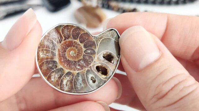 These sophisticated fossil pendants feature natural ammonite spirals set in polished metal for elegant and distinct jewelry crafting projects with a timeless aesthetic