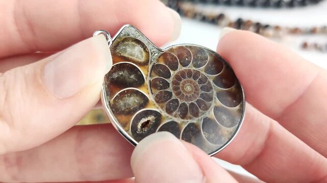 These sophisticated fossil pendants feature natural ammonite spirals set in polished metal for elegant and distinct jewelry crafting projects with a timeless aesthetic