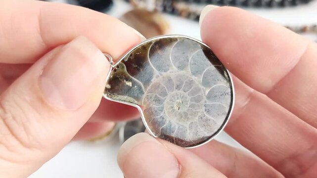 These sophisticated fossil pendants feature natural ammonite spirals set in polished metal for elegant and distinct jewelry crafting projects with a timeless aesthetic