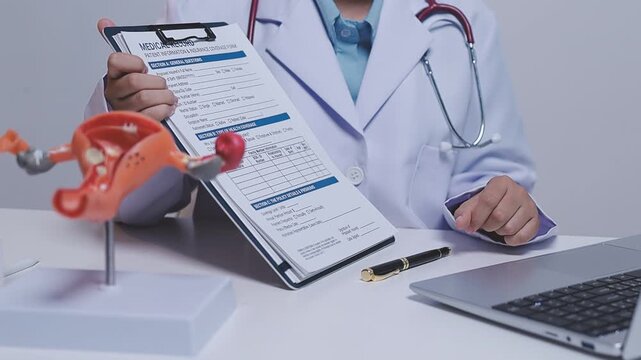 Doctor holding human uterus model for vaginal and cervix pap smear check up in the obstetrics and gynecology.