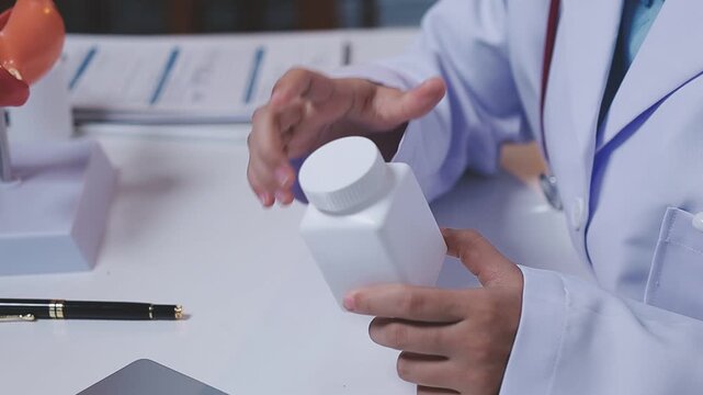 Doctor holding human uterus model for vaginal and cervix pap smear check up in the obstetrics and gynecology.