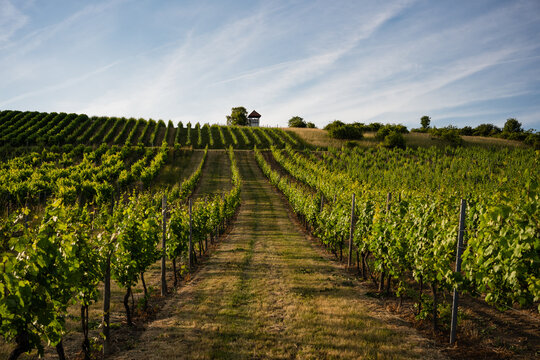 Jugendheim (Rheinhessen) 