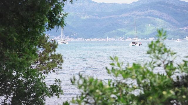 Sailing catamarans anchored in a tranquil bay surrounded by mountains, framed by lush green foliage, capturing a peaceful Mediterranean coastal landscape