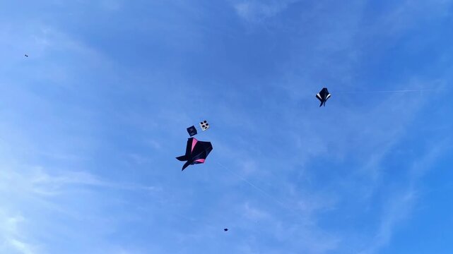 Footage of various types of traditional Balinese kites soaring across a clear blue sky, showcasing the beauty of local Indonesian culture.
