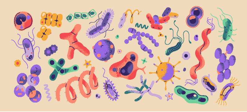 Different types of microorganisms set. Various micro organisms- microbes and bacterias. Harmful and healthy bacterium. Pathogen cells of viruses and infections. Flat isolated vector illustration
