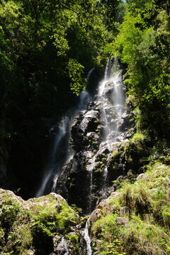 Healing scenery of the 50m Nihon-taki Falls, a serene branched waterfall along the Osugidani trail (大杉谷 二本滝 癒やしの清流 隠れた名瀑)